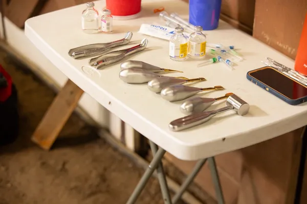 Equine dental procedure