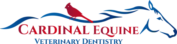 Cardinal Equine Veterinary Dentistry