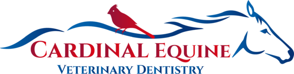 Cardinal Equine Veterinary Dentistry