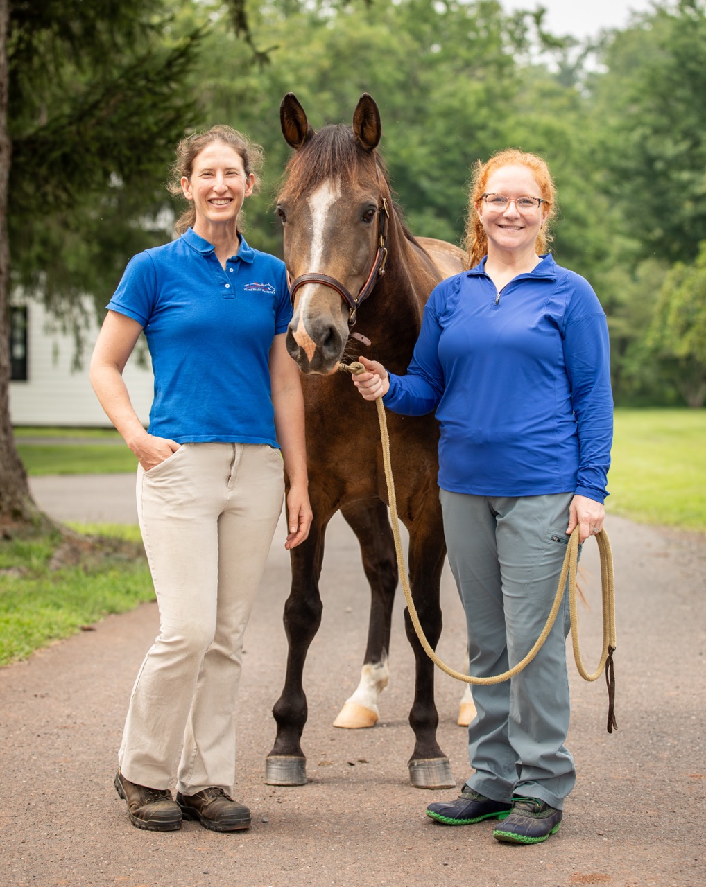 Cardinal Equine team with horse